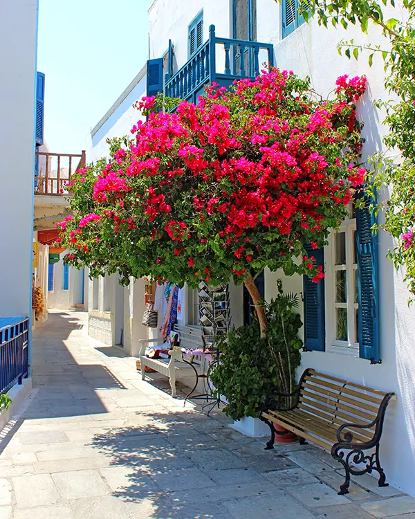 Bodrum Kos Ferry.