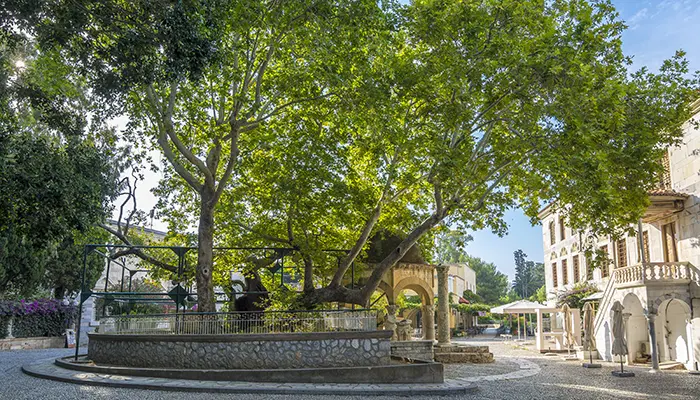 Hippocrates Plane Tree in Kos island.