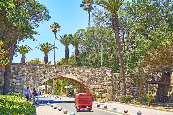 Culinary Experiences