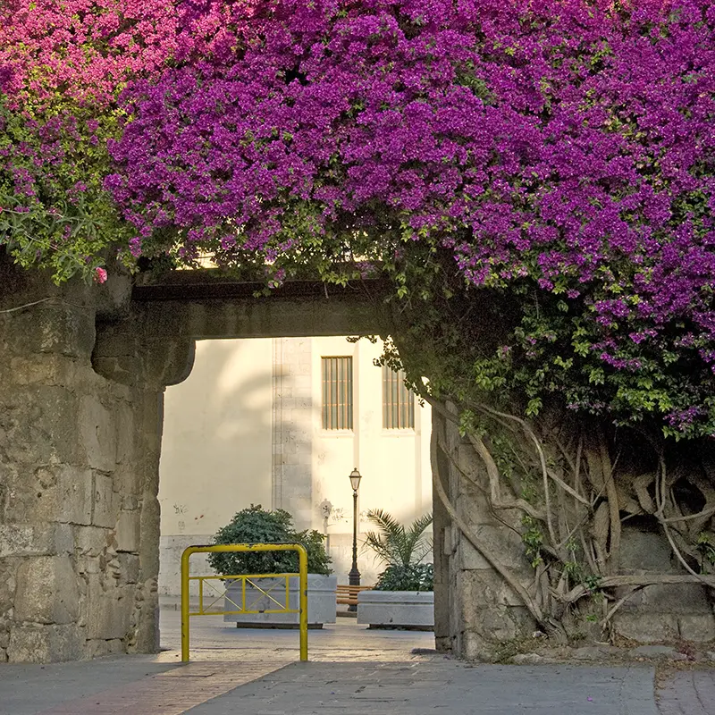 FAQs about ferry to Kos island.