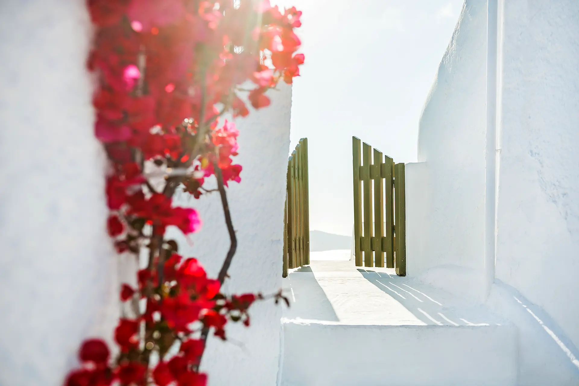 About Meander Feribot — connecting Turkey's Aegean coast to the Greek islands since 1977.