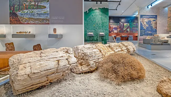 Natural History Museum in Lesvos island.