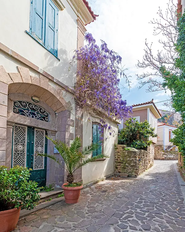 Lesvos Cultural Express Tour.