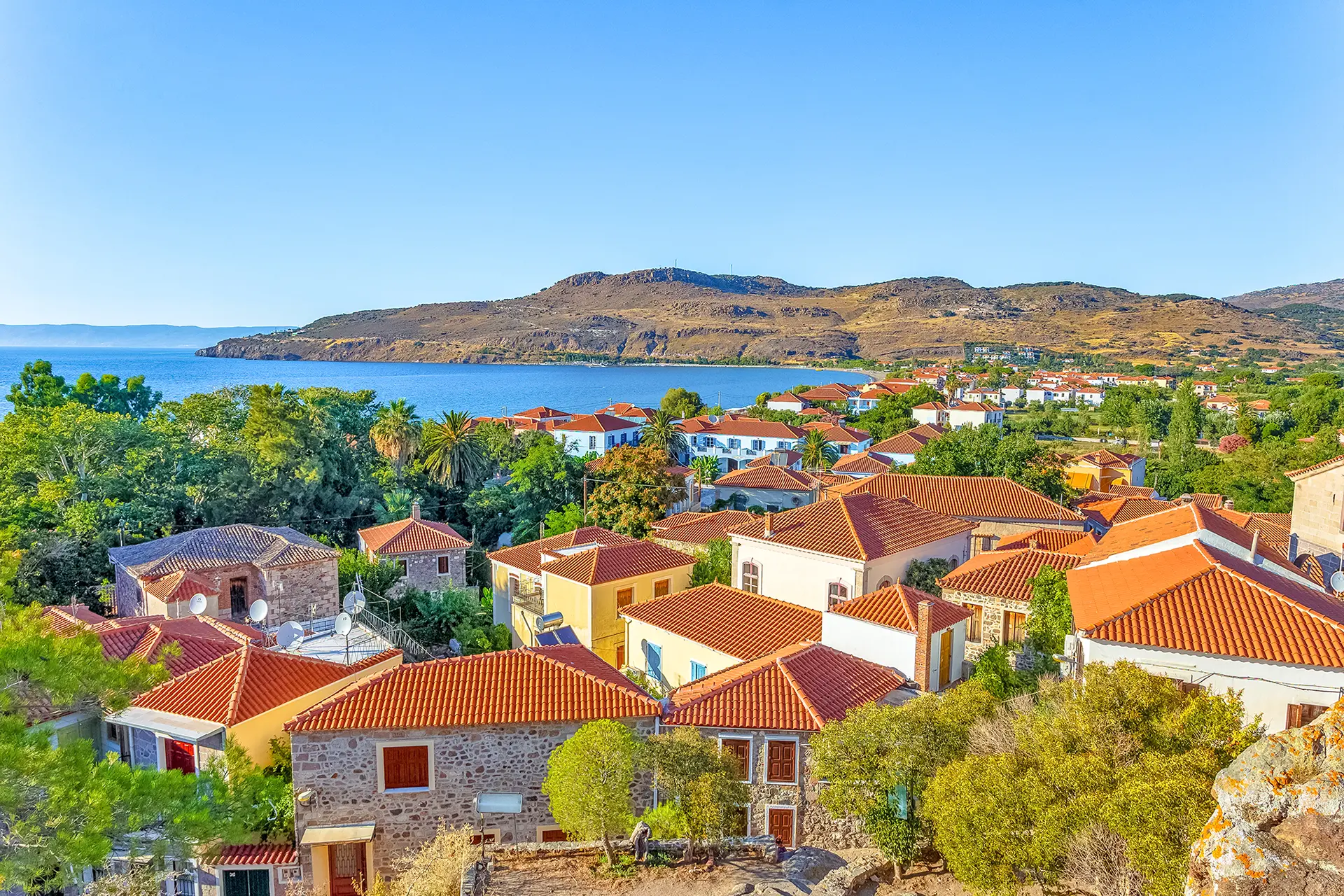 Lesvos island guide — olive groves, traditional villages, and Aegean coastline on Lesvos island, Greece.