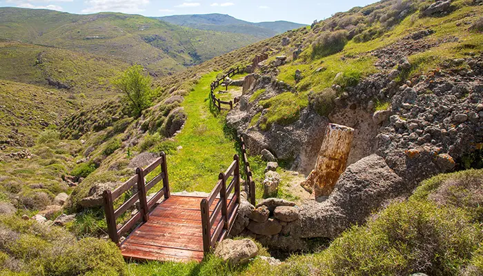 Petrified Forest & Museum in Sigri in Lesvos island.