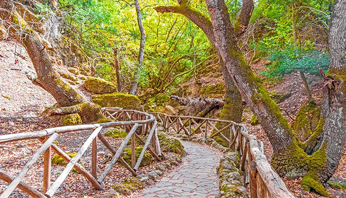 Valley of Butterflies in Rhodes island.