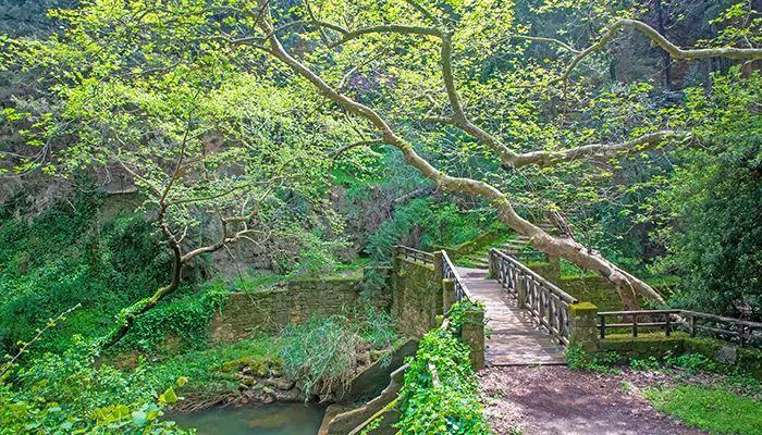 Rodini Park in Rhodes island.