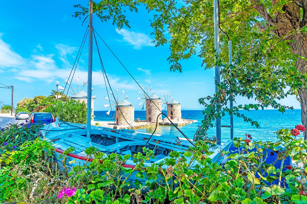 Chios island, the island of Mastiha.