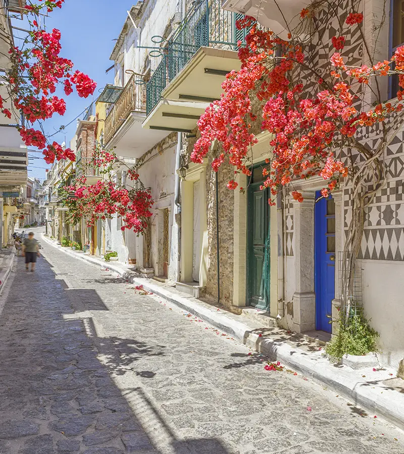 Sakız Adası'nın geleneksel damla sakızı ağaçları ve taş köyleri.
