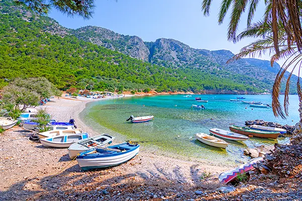 Local Gems of Samos island.