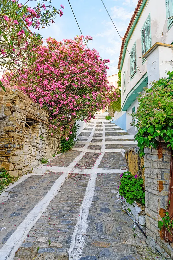 How to Get to Samos from Kusadasi.