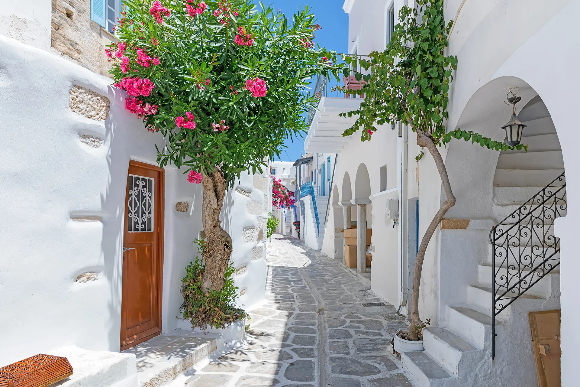 Legal notes — legal information and disclaimers for Meander Feribot's services.